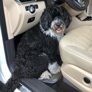 Meet your Posher, Laurie